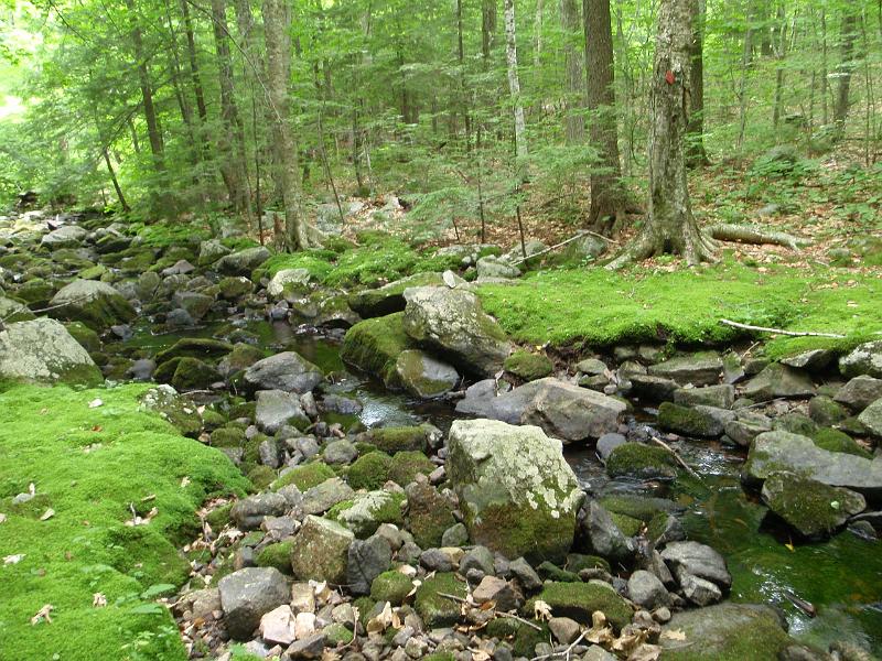 P7110332.JPG
